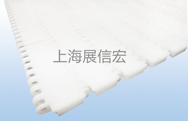 2720-1平板型网带链